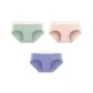 3 Pack (Matcha+Cameo Brown+Purple Lotus)