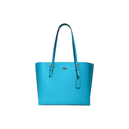 Reebok Pride flight bag