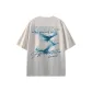 White Gray/Blue