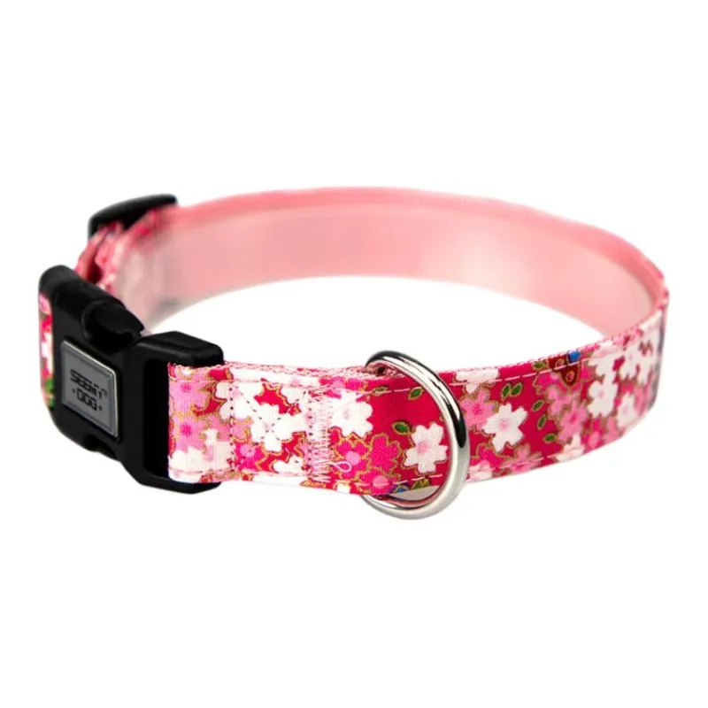 Bebeleeuwe Dog / Cat Collars-7
