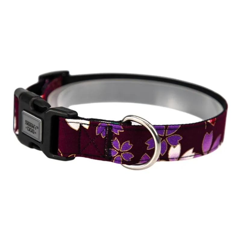 Bebeleeuwe Dog / Cat Collars-4