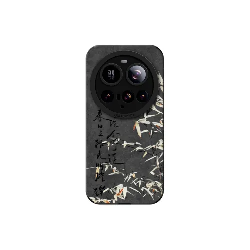KEXINSHENG Phone Cases