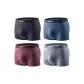 Red Coffee+Gray Blue+Dark Gray+Eyeshadow Gray (Box 4 Pack)
