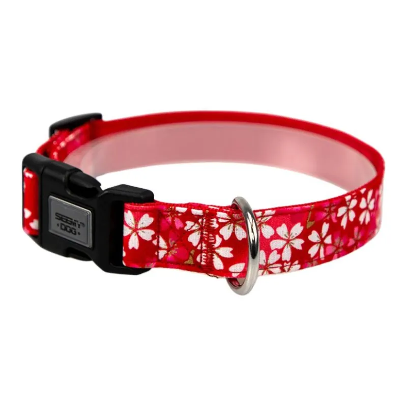 Bebeleeuwe Dog / Cat Collars-10