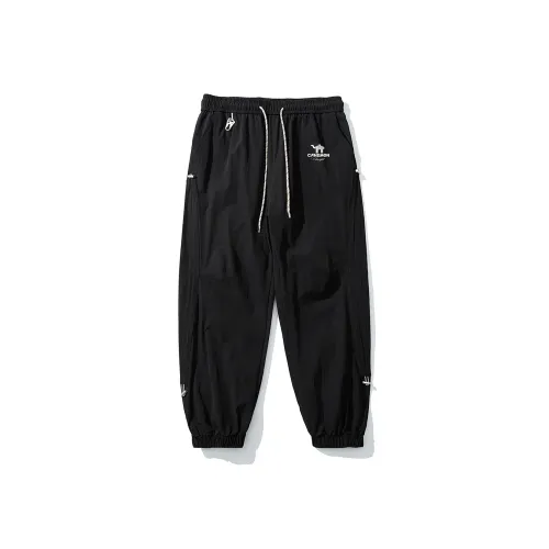 Pilot The Camel Casual Pants Unisex