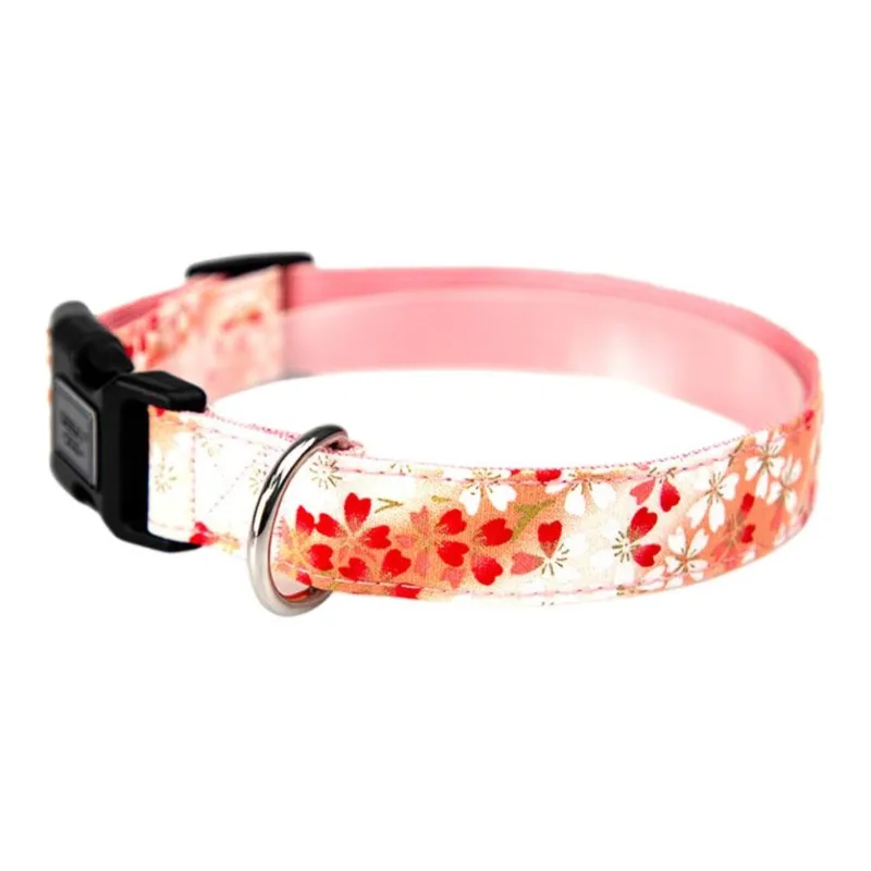 Bebeleeuwe Dog / Cat Collars-3
