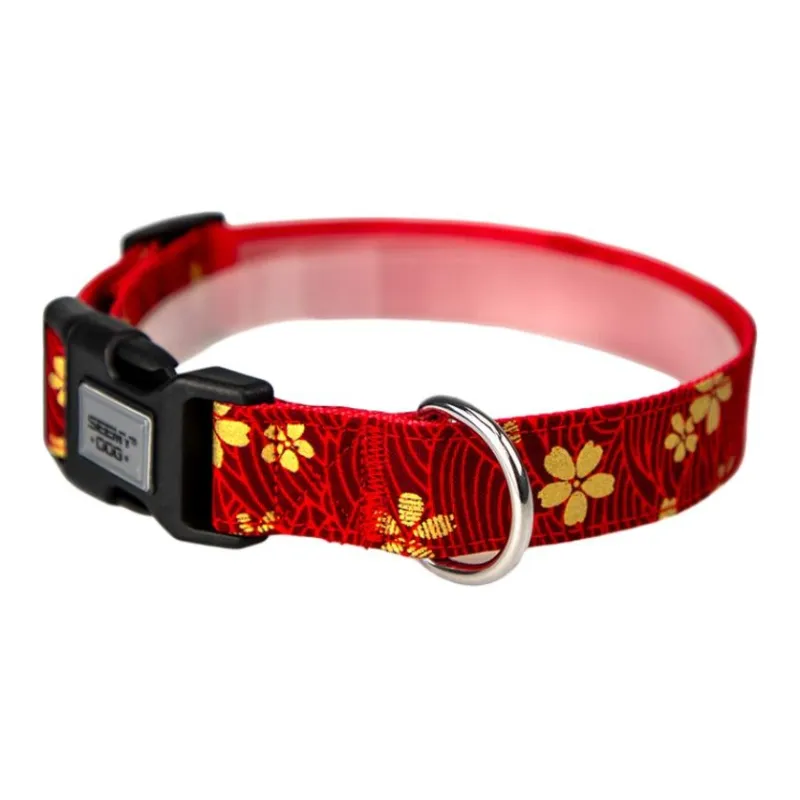 Bebeleeuwe Dog / Cat Collars-1
