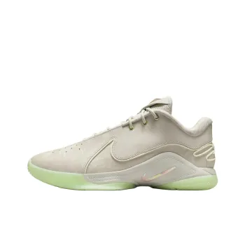 Nike LeBron 22 Dunkman