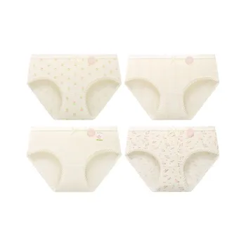 Master Underpants Women's 4 Pack