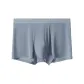 Silver Gray