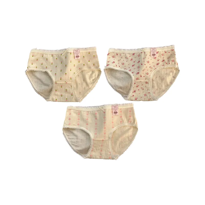 GOSO Underpants Women's Combo Set-10