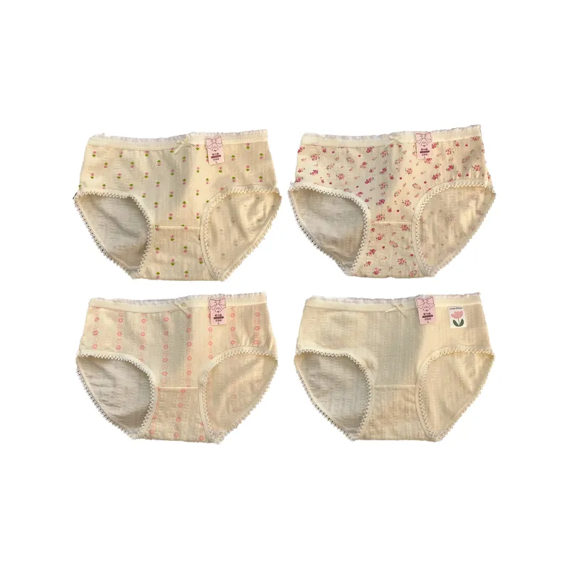 GOSO Underpants Women's Combo Set-20