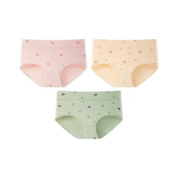2323 Women's Underpants
