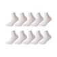 White 10 Pack
