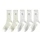 5 Pack[3 Pack White+2 Pack Milk White]