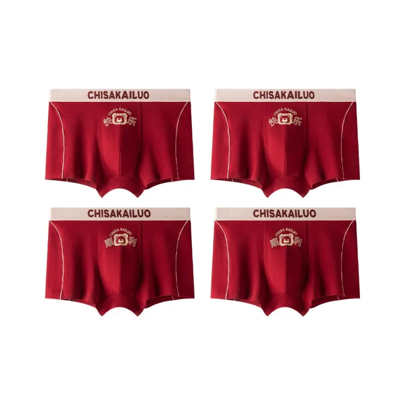 PLANDOO Underpants Men's 4 Pack-12
