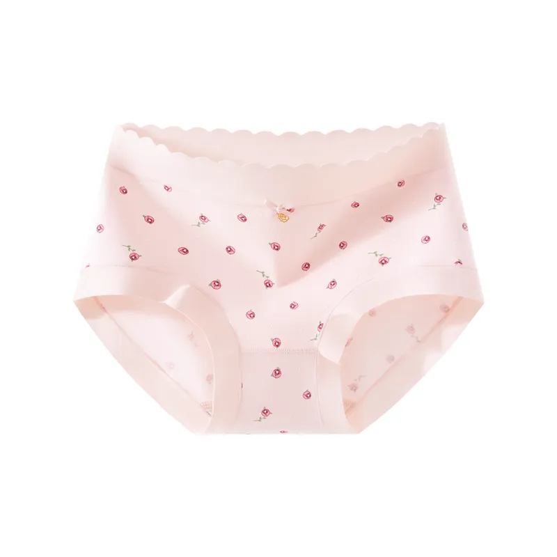 2323 Underpants Women's Combo Set-1