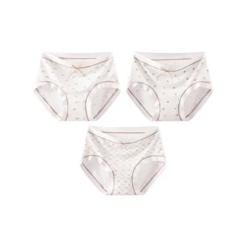 2323 Women's Underpants