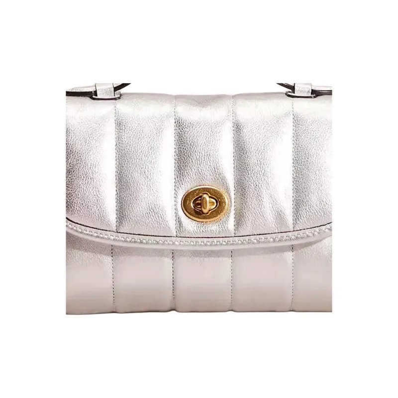 COACH Turnlock Handbags-1