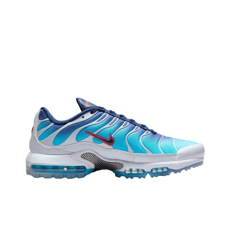 Nike Air Max Plus Golf Pga Championship-1