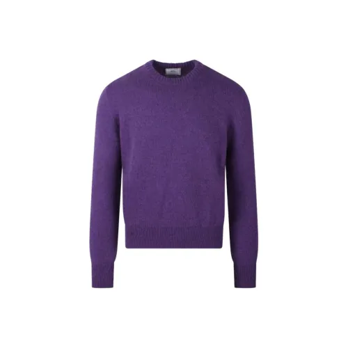 AMIPARIS Sweater Women's Purple