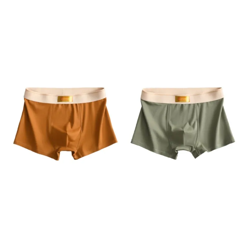 PLANDOO Underpants Men's 2 Pack-3