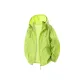 Fruit Green