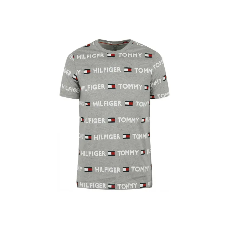 Tommy Hilfiger T Shirts Men-4