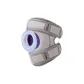 Gray Purple