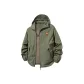 Light Gray Green