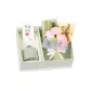 Gardenia Carnation[Box]