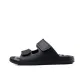 Black Gray