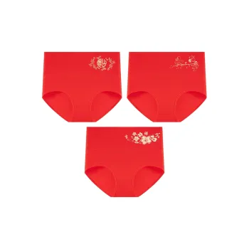 2323 Women's Underpants