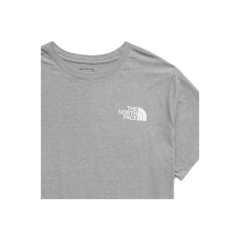THE NORTH FACE Men’s Big Short-Sleeve Box NSE Tee T-Shirt Men's Gray-3