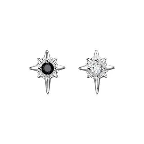WINGSTOP Zircon Stud Earrings Unisex