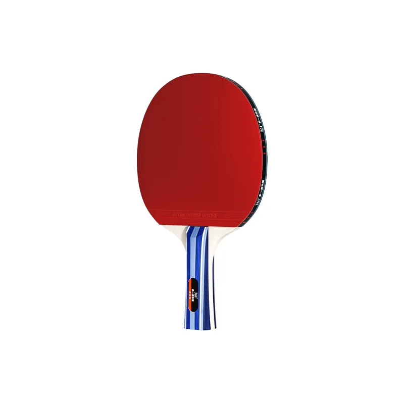 361° Ping Pong Paddles-1
