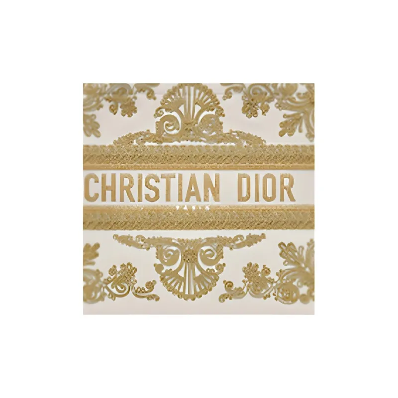DIOR BookTote Handbags-3