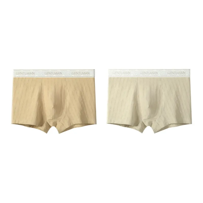 PLANDOO Underpants Men's 2 Pack-3
