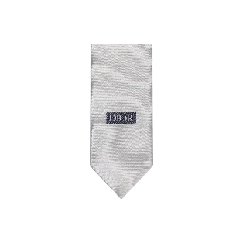 DIOR Ties Men-1