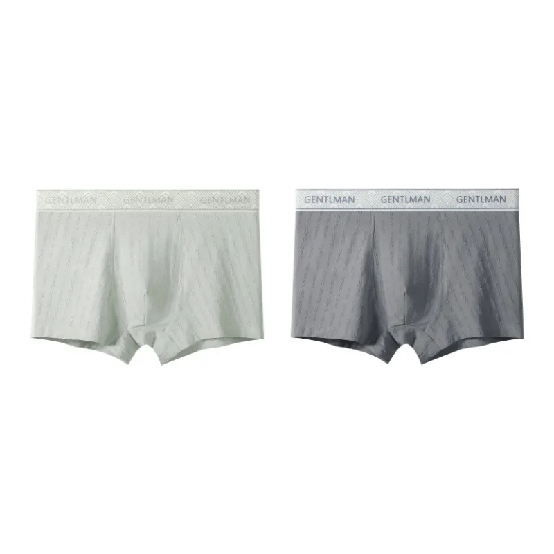 PLANDOO Underpants Men's 2 Pack-17