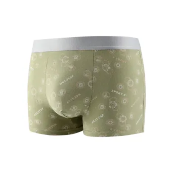 PLANDOO Underpants Men's Combo Set