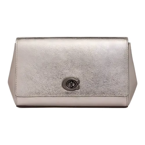COACH Alexa Leather One Shoulder Crossbody Clutches Small Size Women's Metal Silver