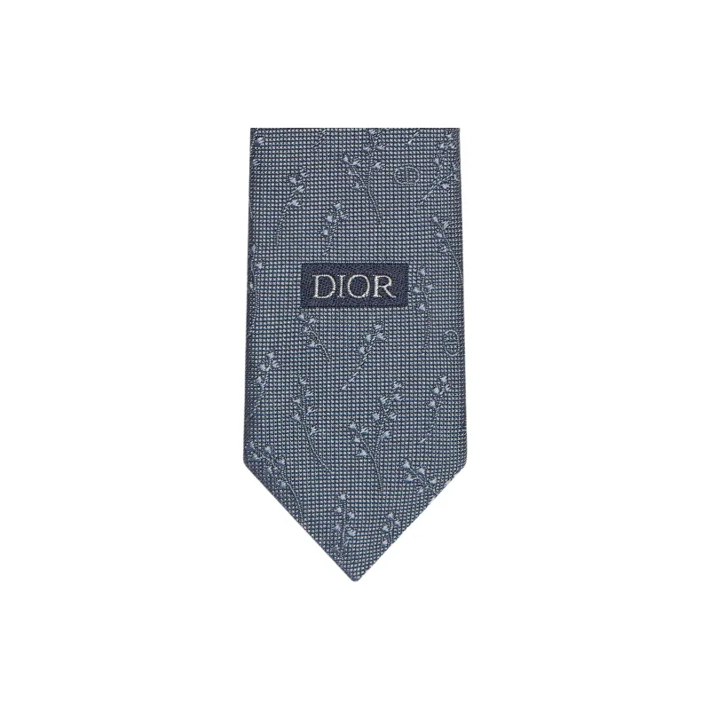 DIOR Ties Men-1