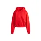 Ruby/Rubies Color