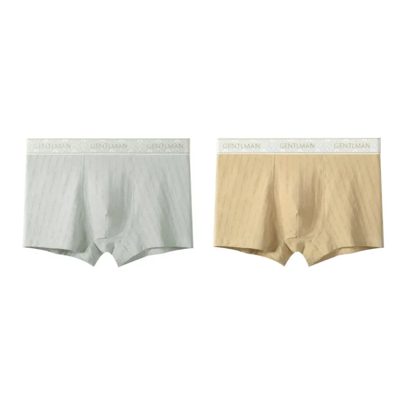 PLANDOO Underpants Men's 2 Pack-13