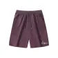 Purple (Pili Jishen Pants Front Lower Left Label)