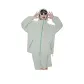 Light Gray Green