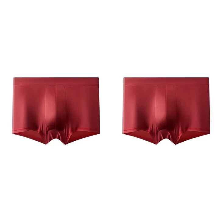 EFUTON Underpants Men's Combo Set-32