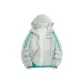 Light Gray Green