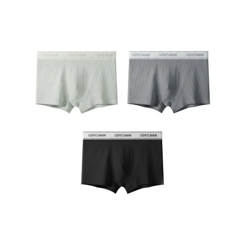 PLANDOO Underpants Men's 3 Pack